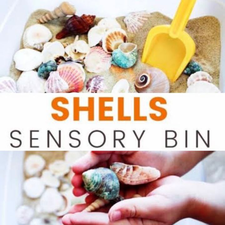 Seashell Play Seashells sensory play เปลือกหอยDIYคละแบบ ปริมาณ100กรัม (พร้อมส่ง ...