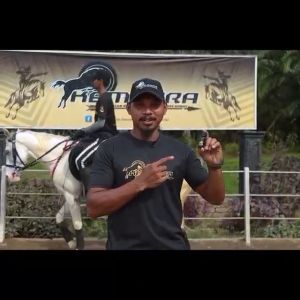 Ubat Sakit Lutut dan Sendi Pang5 Oil Pain Relief Oil Minyak Urut Minyak Lemak Kuda Jantan Migraine Relief Muscle Pain Relief Oil Original HQ