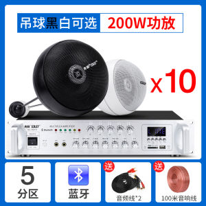 SAST Hanging Ball Audio Store Dedicated Ceiling Speaker Indoor Restaurant Hanging Amplifier Set Ceiling Ceiling Speaker Wireless Bluetooth Supermarket Hanging Wall-Mounted Store Ball Coffee Shop