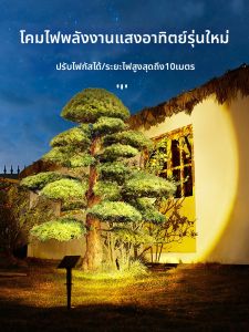 MAIDENGJIA | Solar Waterproof Landscape Lighting