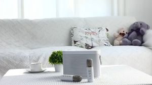 High Power Portable Karaoke Speaker with Dual Mic - Rechargeable and Long-Lasting - Ideal for Home KTV, Conference, Stage Performance, and More (Model YS-203)