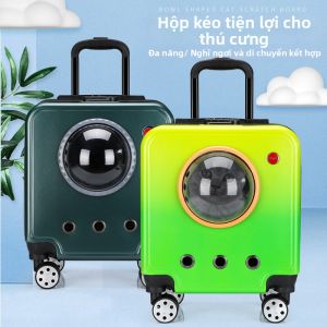 New Transparent Breathable Pet Travel Box