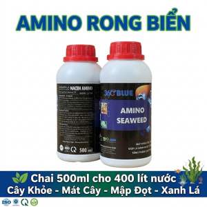 Phân bón vi lượng AMINO RONG BIỂN chai 500 ml. Mát cây Mập đọt Xanh lá Tốt trái Hạ Phèn Kích rễ Giải độc cho cây