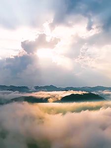 Extra Strong Scent Early Spring High Mountain Cloudy Mist Tip Tea 500g
