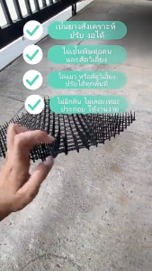 หนามไล่แมว แผ่นหนามไล่แมว หนามกันแมว แผงกันแมว หนามไล่สุนัข ยางหนามแมว ขนาด 34*42cm. ปลอดภัยต่อสัตว์