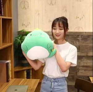 ตูกตาหมอนผ้าหมอนผ้า สอดมือได้ ผ้าหมอนผ้านาโนลายปักอย่างดี ผ้านูมาก