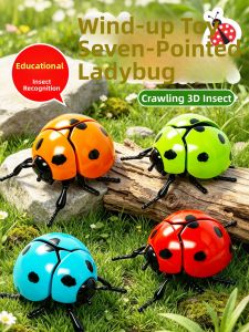 WANWEI | Winding Ladybug Model Toy