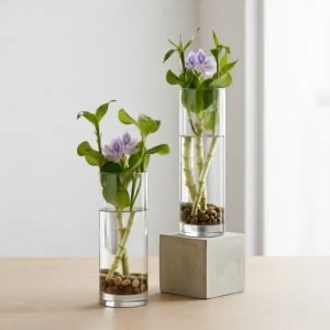 Bình Hoa Thủy Tinh Dáng Trụ Tròn Φ8cm Decor Phòng Khách Sang Trọng - Lọ Hoa Thủy Sinh Cao Cấp - D08