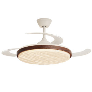 DGY | Retro Style Intelligent Quiet Eye-Protective Home Fan Chandelier