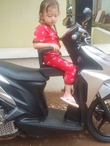 Jok Boncengan Sandaran Motor: Aksesoris Motor Semua Jenis