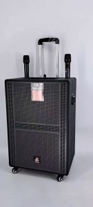 NEW FT-SK800 PROFESSIONAL AUDIO SPEAKER/BLUETOOTH/RECHARGEABLE/WITH 2 WIRELESS MICROPHONE