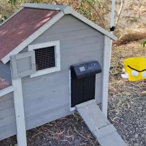 Automatic Chicken Coop Door Automatic Chicken Door with Timer Anti-Pinch & Light Sensor Chicken Guard Battery Automatic Door