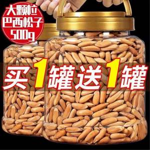 Shelled Natural Flavor Large Kernel Pine Nuts