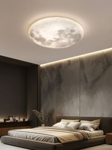 DGY | Minimalist Modern Nordic Circular Ceiling Light