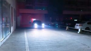 2PCS 6000K White 85W 15000LM Canbus No Error LED Headlight Bulb For Car H4 H7 H1 H9 H11 H16 HB3 9005 HB4 9006