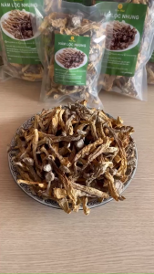 Nấm Lộc Nhung nấm nhung hươu Không gây vun Thân nấm to mập Mùi thơm thảo mộc Túi: 100g - 500g