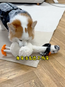 Squeaky Duck Dog Toy Interactive Chew Proof Plush Pet Plaything for Boredom Relief Large Breed Puppies