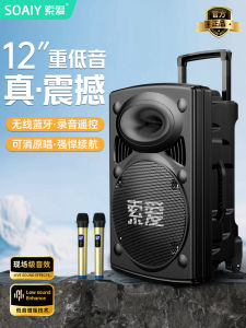 Soaiy T19 Square Dance Outdoor Bluetooth Speaker Bass Cannon Pull Rod Sound Box Double Speaker ABS Plastic Body Card Insertion