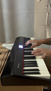 Roland GO:PIANO GO-61P 61-Key Portable Digital Piano | Preloved Japan | Slightly Used With Box