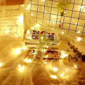 ไฟ Fairy 5M-20M สีขาว/Multicolor คริสต์มาสถูกตั้งสำหรับการแสง 10 ประมาณ AC220V EU Plug สำหรับการผสมและเทรนโดดเด่น มาตรฐานแต่งงานปาร์ตี้ Garland HolidayDecoration