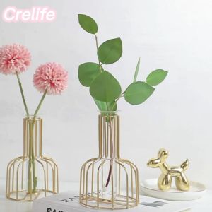 Golden Iron Glass with Hydroponic Glass Vase creative simple Nordic style vase decoration ins flower arrang Home Decor
