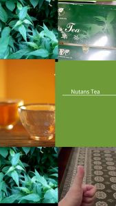 Vital Natural Oasis Nutans Tea - Organic Herbal Tea Sachets for Immune Support & Detoxification