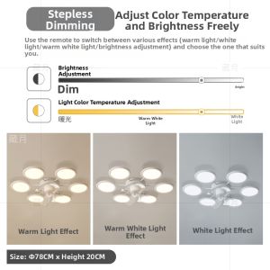 Creative Fan LED Light