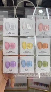 สีเจล สีทาเล็บเจล AS ( รหัส APO ) 9 เฉดสี 15ml แถมชาร์จสี พร้อมส่ง!