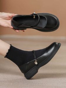 French Mary Jane Flat Heels Womens Shoes Summer 2024 New Black Interview Shoes Thick Heel Small Leather Skirt Matching Shoes