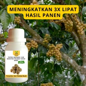 Pupuk Duku Cepat Berbuah: Panduan Lengkap