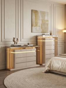 Luxurious Minimalist Eight-Drawer Jewelry Storage Cabinet