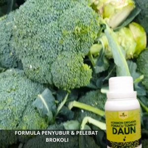 Pupuk Penyubur Untuk Tanaman Brokoli / Pupuk Pembesar Brokoli / Obat Semprot Brokoli Subur