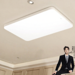 OPPLE | Eye-Protecting True Color Spectrum Ceiling Light