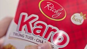 Thùng 72 cái bánh trứng tươi sợi gà Karo Richy (12 bịch HSD 45 ngày)