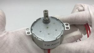 2.5-3RPM 220-240V TYC-50 CW/CCW AC Synchronous Motor Geared Motor For Electric Fan