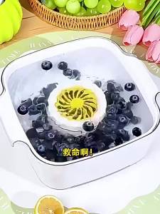 Portable Fruit Cleaner Machine 4-Mode Food Purifier Multifunctional Ionic Fruit Vegetable Washer for Home Kitchen Meat Seafood