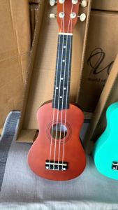 Đàn ukulele soprano 21 inch ( Nâu cafe - xanh ngọc - trắng )