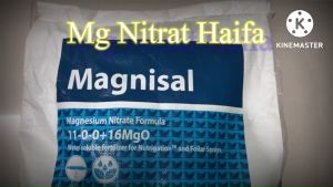 Túi 1 kg phân bón Magie Nitrat Mg(NO3)2 Israel độ tinh khiết cao