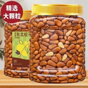 Freshly Picked Northeastern Pine Nuts Large Sized Easy-Peel Roasted 500g