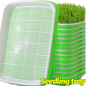 【Swan Home】Nursery Pots Tray Grow Basket Hydroponics Microgreens Plate Tool Vegetables Buckwheat Double Layer Grass Germination Nursery Pot