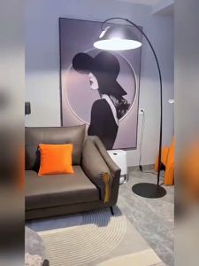 Arc Floor LampBlack Gold Floor Lamps with 360°Rotatable Arm3-Color Industrial Tall Lamp 落地灯