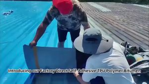 Lakban Waterproofing Membrane Butyl Rubber aterproof Tape  Pelapis Atap Beton Sticke