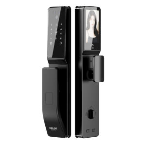 DELIXI | Fingerprint Facial Recognition Anti-theft Smart Door Lock