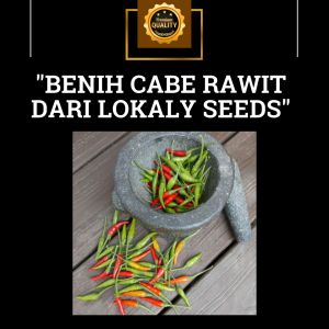 LOKALY SEEDS - 5gr & 10gr (1000 - 2000 Butir) Cabe Rawit Hijau Tipe Tegak Asli Murni Khas Lokal - cocok ditanam di dataran rendah - tinggi tumpang sari tanam benih langsung 1gr 200 - 2gr 400 biji seed Hidroponik Benih Bibit Cabai rawit Lalap Super lebat