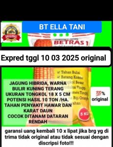 benih/bibit jagung Hibrida Betras1 dan 9 kemasan 5kg expred tggl 12 juni 2025 original