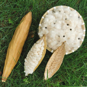 Natural Antibacterial Pure Cotton Pillow Core with Seeds Handmade Medium Support Bedding for Adults Single Person Use