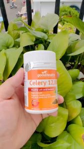 CELERY 12000 GOODHEALTH (Hàng nhập khẩu) - Viên uống cần tây hỗ trợ cho người bệnh Gout từ New Zealand.