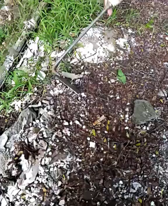 Cangkul Mini Gagang Kayu Pacul Besi Kored Kebun Serbaguna