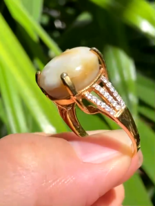 KJ463 แหวนเจ้าสามสีแซฟไฟร์สตาร์ 6 ขา 14 กะร้ต Natural Star Sapphire ขนาดแหวน 54