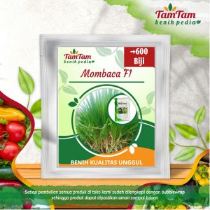 Benih Rumput Mombaca F1 Super Original Agrimax Repack(-+600biji)